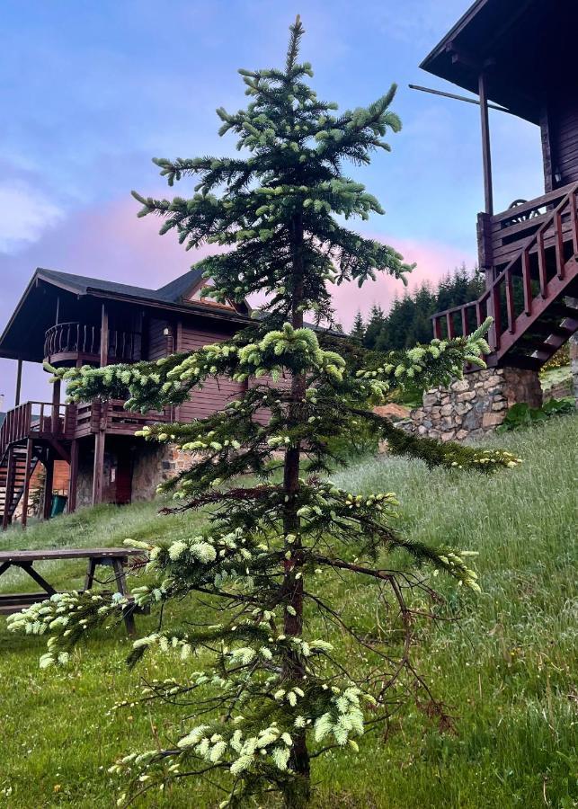 Villa Birun Kumbet Dag Evi Exterior foto